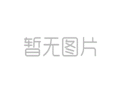 枪与玫瑰革命中的基辅
